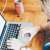 AI Makes WhatsApp Business Setup Easier